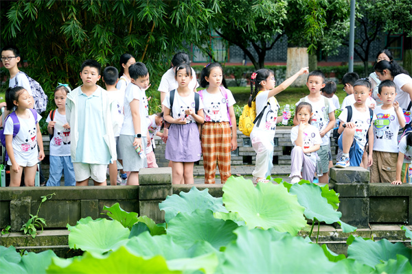 DSC08720.JPG