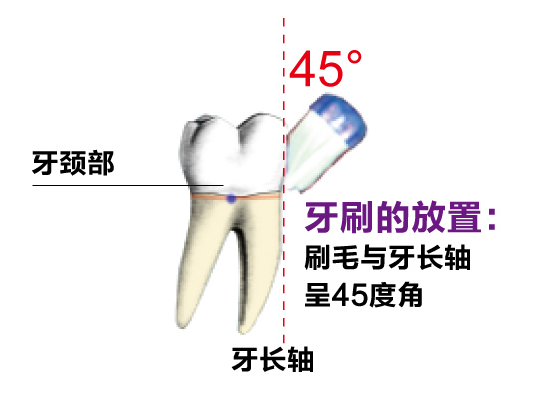 图片1.png 图片1.png
