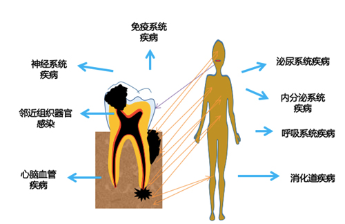 图片12.jpg 图片12.jpg