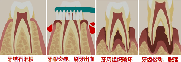 图片36.jpg 图片36.jpg