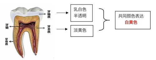 图片19.jpg 图片19.jpg