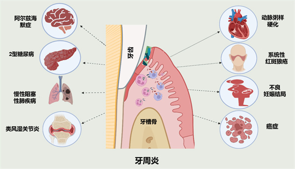 图片 38.jpg