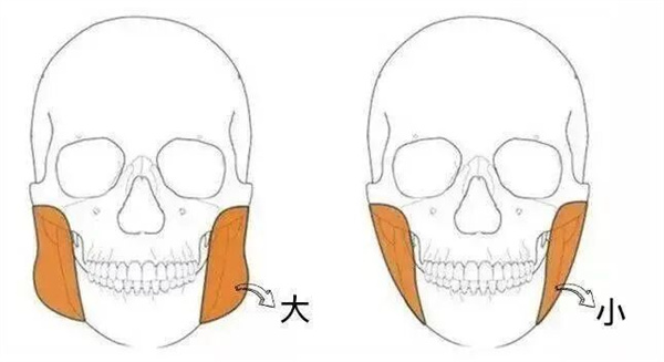 图片 22.jpg 图片 22.jpg