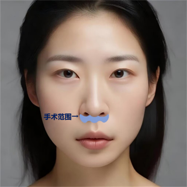 图片 39.jpg 图片 39.jpg