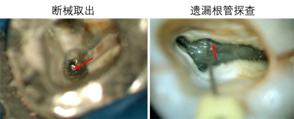 图片 108.jpg 图片 108.jpg