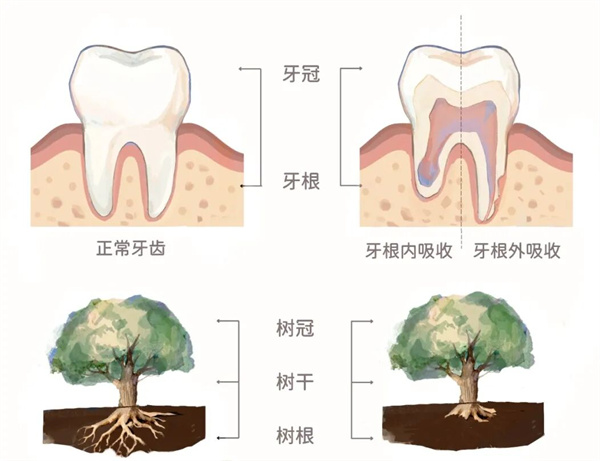 图片 118.jpg 图片 118.jpg