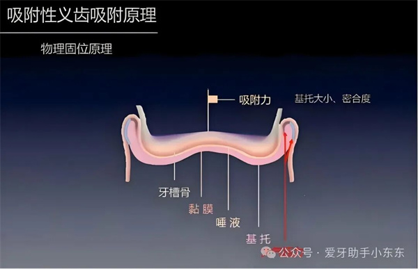 图片 32.jpg 图片 32.jpg