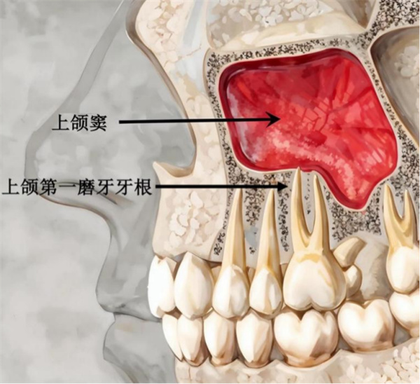 图片2.jpg 图片2.jpg