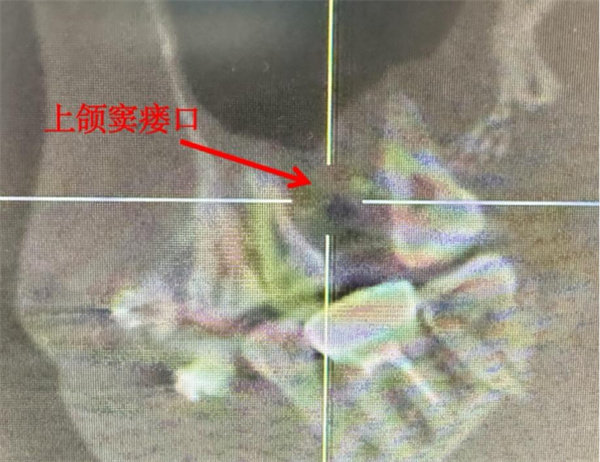 图片3.jpg 图片3.jpg